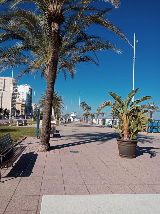 Dorothy Playa De Con Vistas Al Mar 8 Personas Gandia
